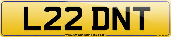 L22 DNT