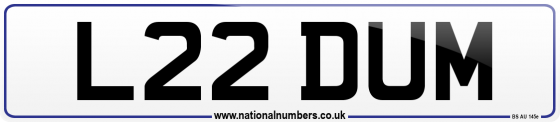 L22 DUM