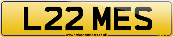 L22 MES