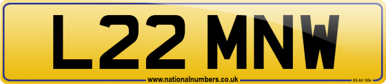 L22 MNW