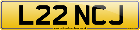 L22 NCJ