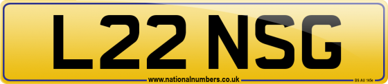 L22 NSG