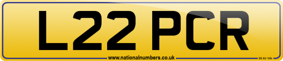 L22 PCR