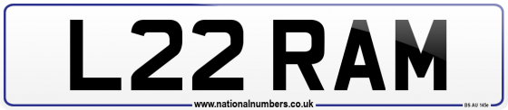 L22 RAM