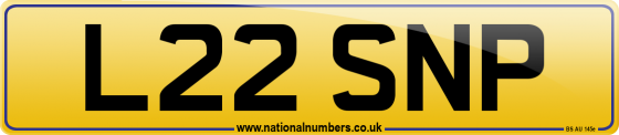 L22 SNP