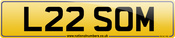 L22 SOM