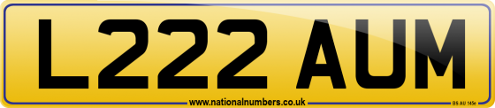 L222 AUM