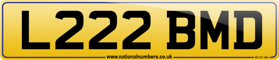 L222 BMD