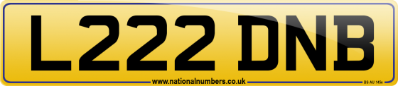 L222 DNB