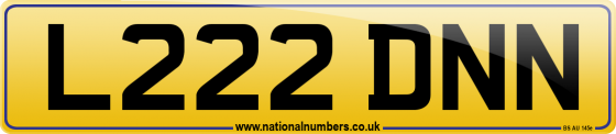 L222 DNN