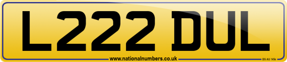 L222 DUL
