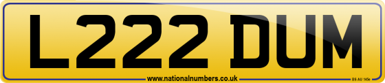 L222 DUM