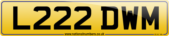 L222 DWM