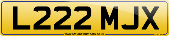 L222 MJX