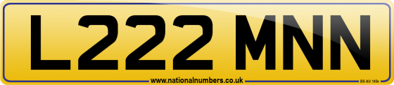 L222 MNN