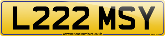L222 MSY