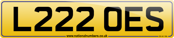 L222 OES
