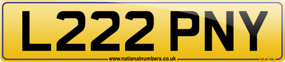 L222 PNY
