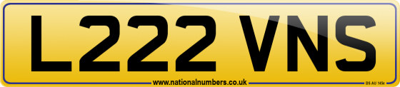 L222 VNS