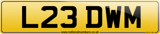 L23 DWM