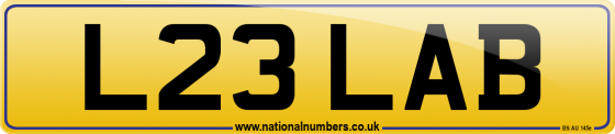 L23 LAB
