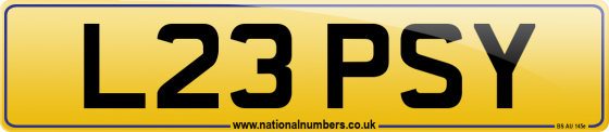 L23 PSY