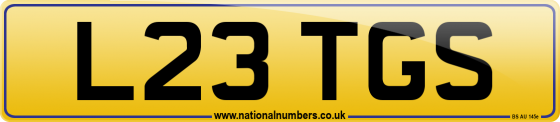 L23 TGS