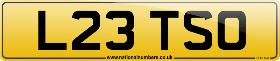 L23 TSO