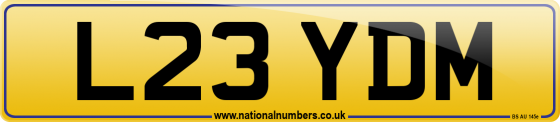 L23 YDM