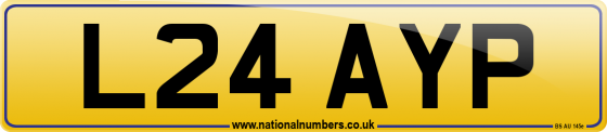 L24 AYP