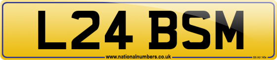 L24 BSM