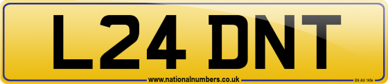 L24 DNT
