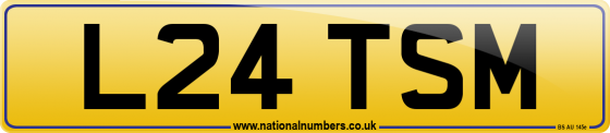 L24 TSM