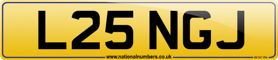 L25 NGJ