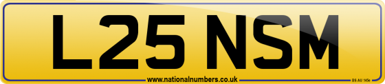 L25 NSM
