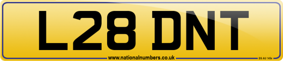 L28 DNT