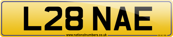 L28 NAE