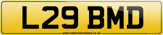 L29 BMD