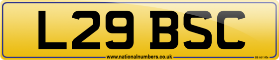 L29 BSC