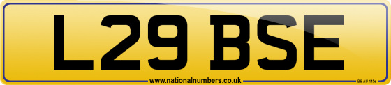 L29 BSE