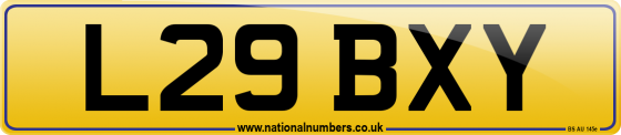 L29 BXY