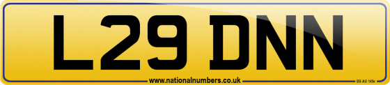L29 DNN