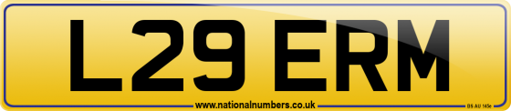 L29 ERM