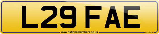 L29 FAE