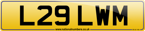 L29 LWM