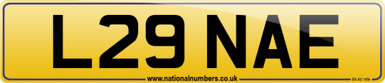 L29 NAE