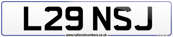 L29 NSJ