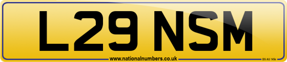 L29 NSM