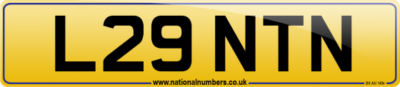 L29 NTN