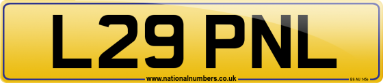 L29 PNL